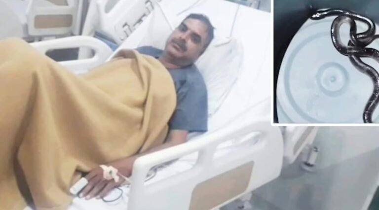 मरीज को हिलने-डुलने न दें, सांप की फोटो खींचें…’, AI की इस एक सलाह से बची हेड कांस्टेबल की जान, SSP भी पहुंचे हाल जानने