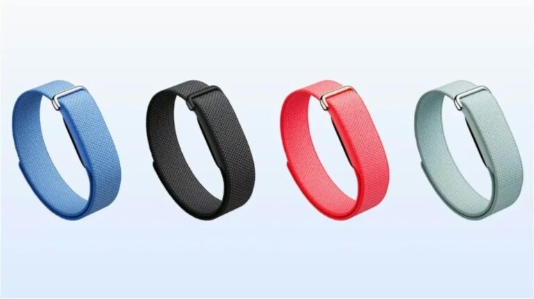 भारत में आ रहा Google Fitbit Air, सिंगल चार्ज में 7 दिन चलेगा, इस महीने होगा लॉन्च