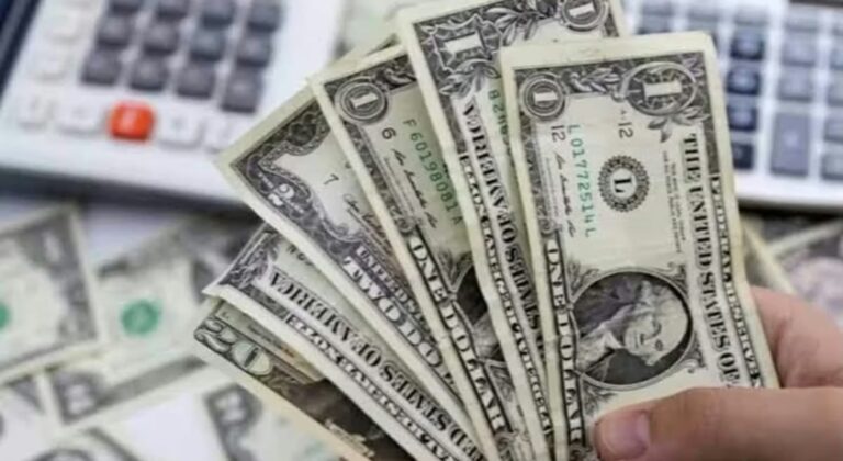 भारत में आया ₹4,895 करोड़ का इंवेस्टमेंट! FDI नियमों में बदलाव का दिखा असर