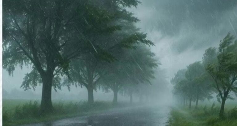 झारखंड, बिहार, उत्तर प्रदेश, राजस्थान, मध्य प्रदेश, ओडिशा, पूर्वोत्तर राज्यों सहित कई इलाकों में अगले तीन दिन भारी से बहुत भारी बारिश हो सकती है.क्या है अपडेट